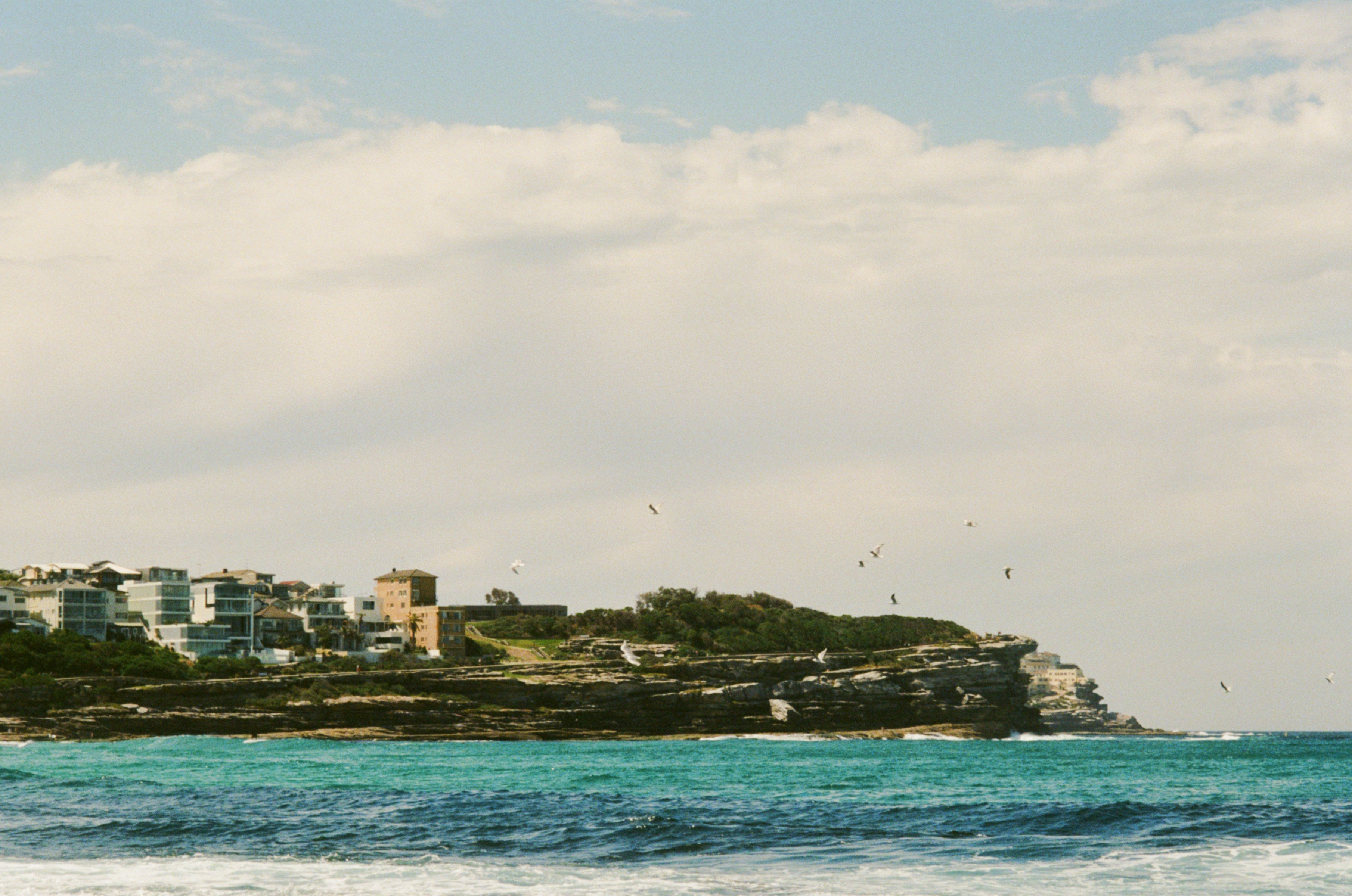 Desktop Banner Image